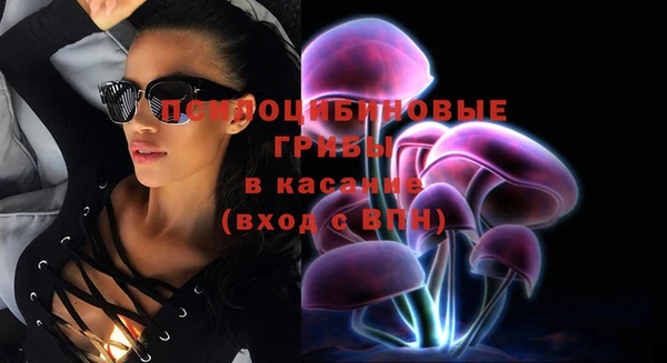 прущие крисы Алзамай