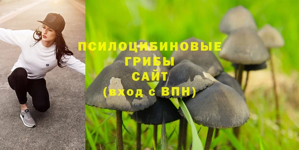 прущие крисы Алзамай