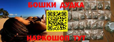 индика Обнинск