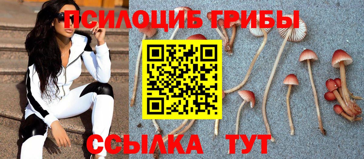 Галлюциногенные грибы Psilocybe Феодосия