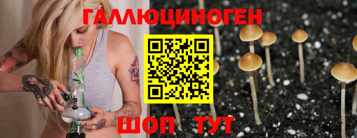 Псилоцибиновые грибы Psilocybine cubensis  Вход с VPN  Феодосия 